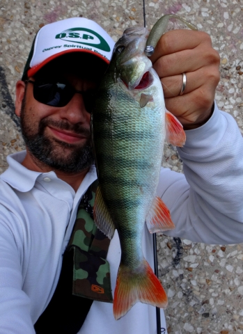 Perch fishing in Paris by Agogué Olivier