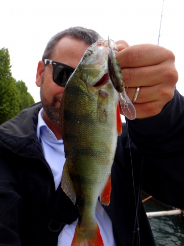 Perch fishing in Paris by Agogué Olivier