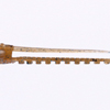 DoLiveShrimp SW