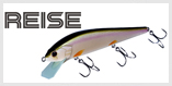 REISE110HF
